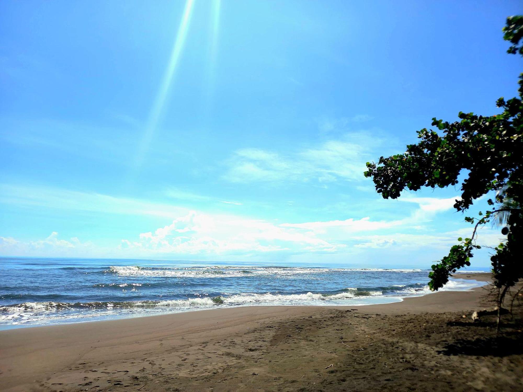 Tortuguero Adventures Beach House Luaran gambar