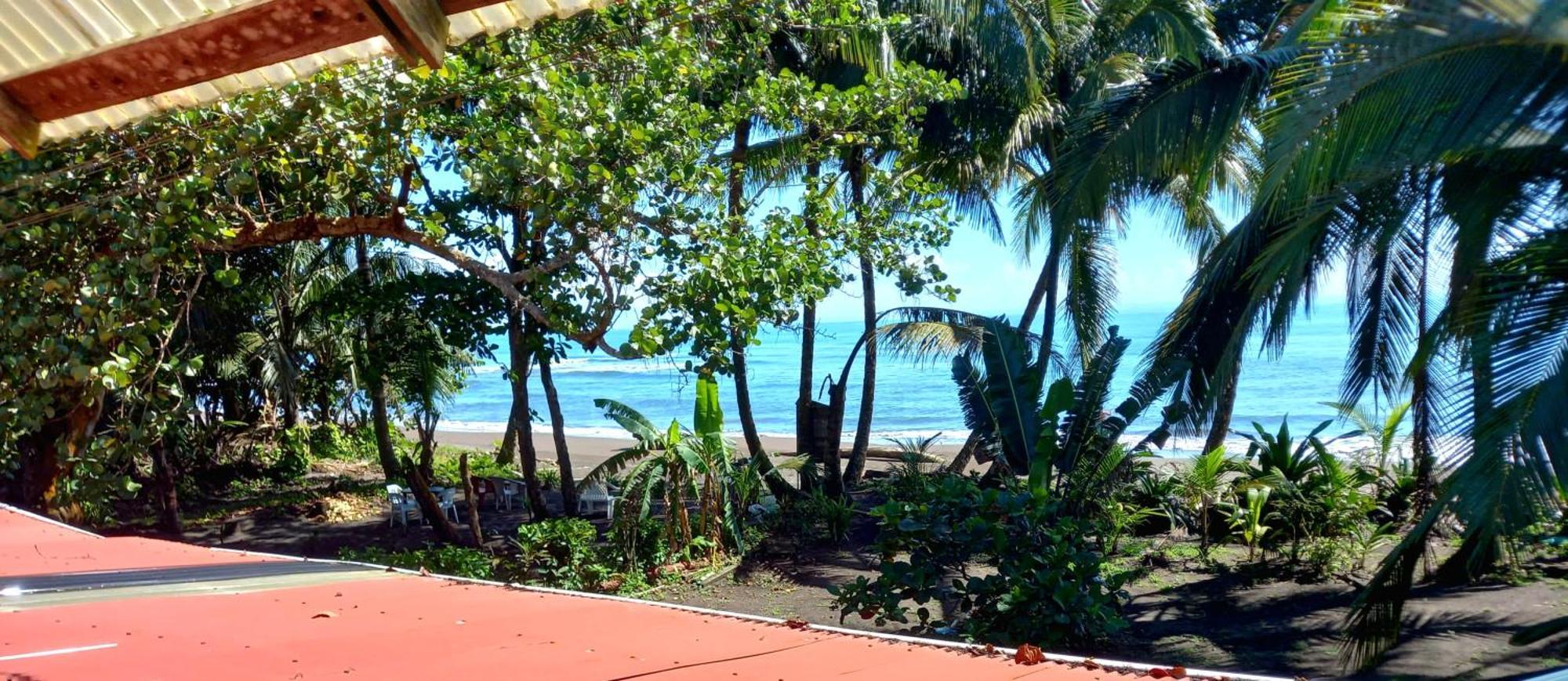 Tortuguero Adventures Beach House Luaran gambar