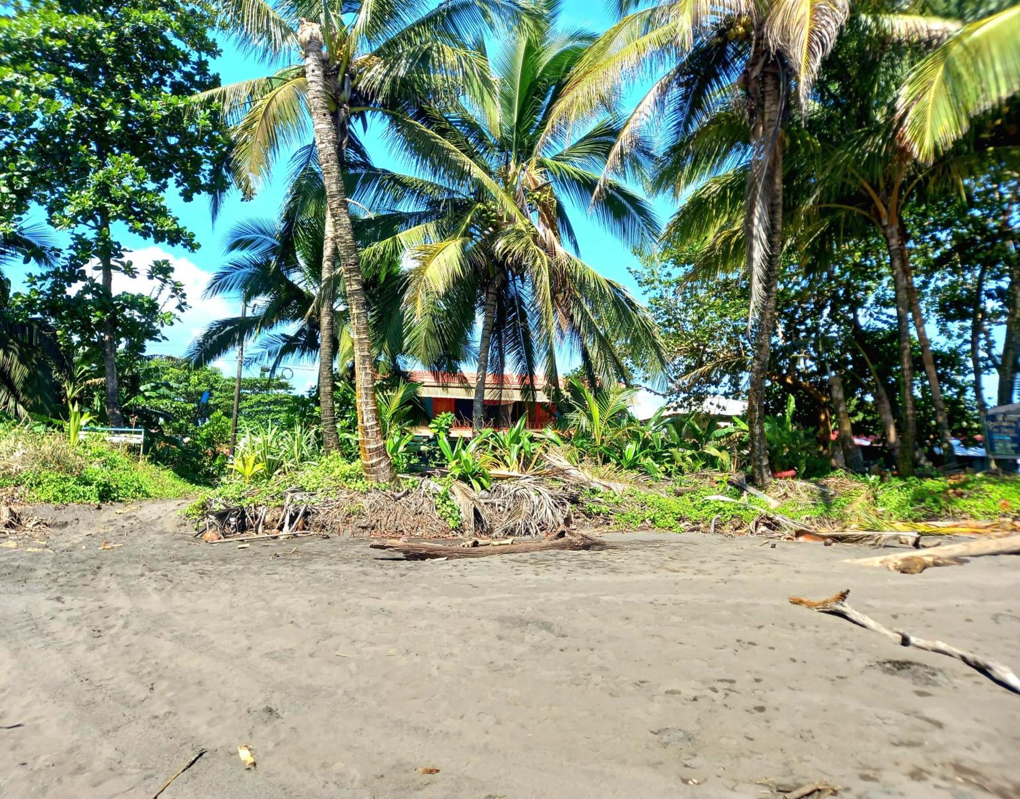 Tortuguero Adventures Beach House Luaran gambar