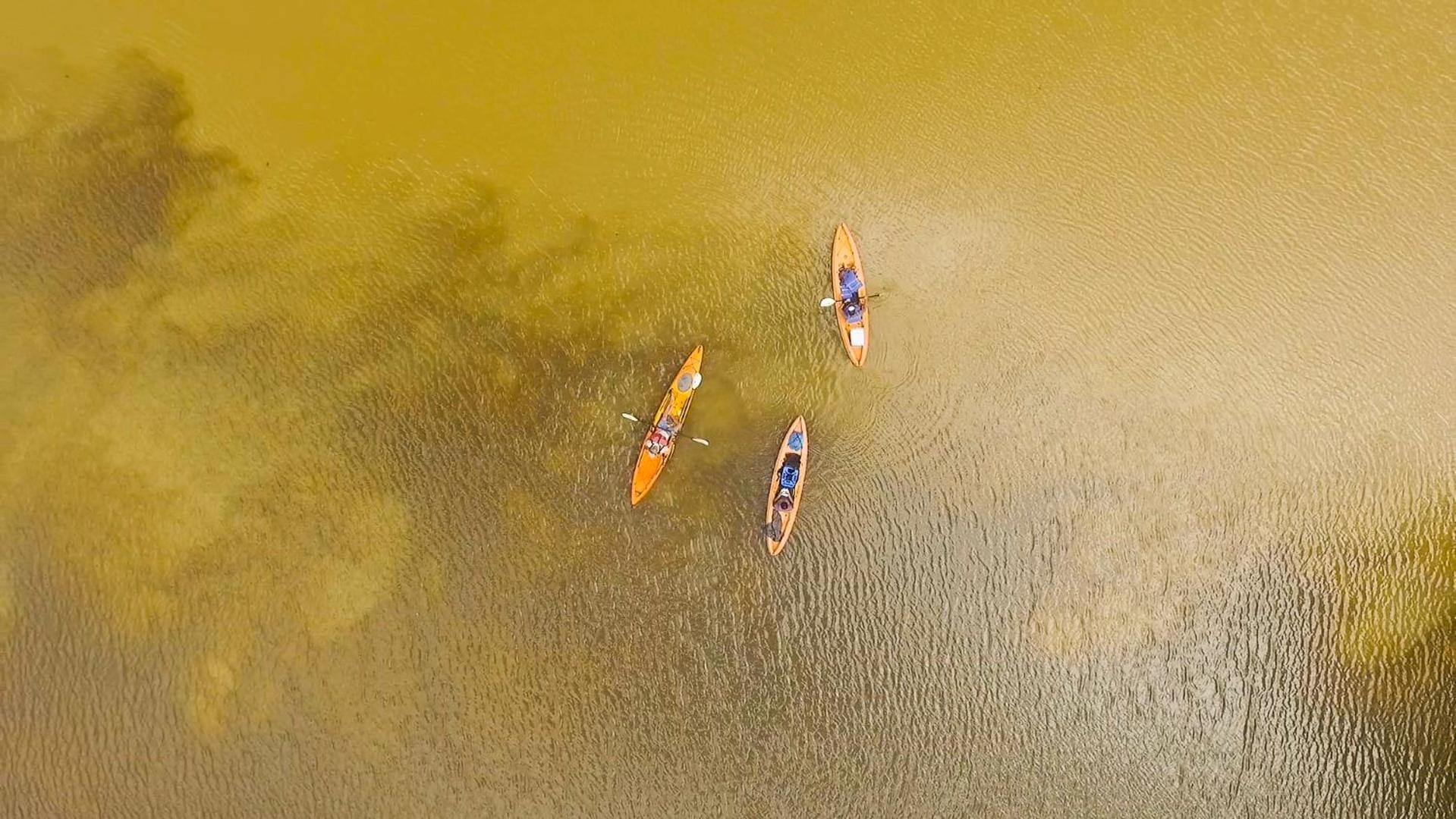Tortuguero Adventures Beach House Luaran gambar