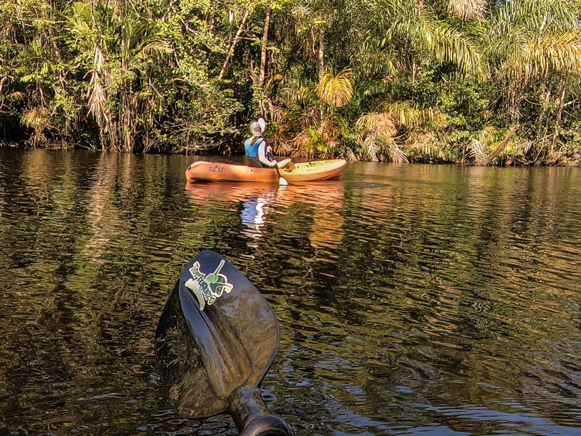 Tortuguero Adventures Beach House Luaran gambar