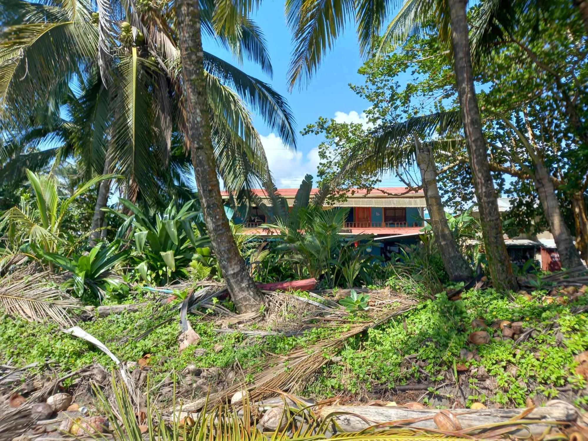 Tortuguero Adventures Beach House Luaran gambar