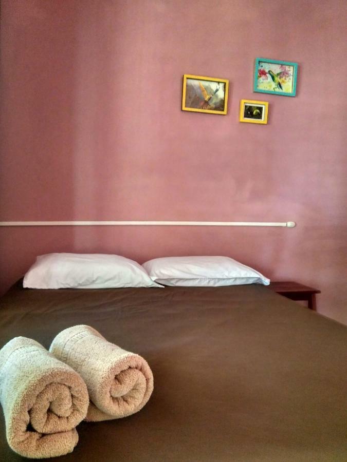 Tortuguero Adventures Beach House Luaran gambar