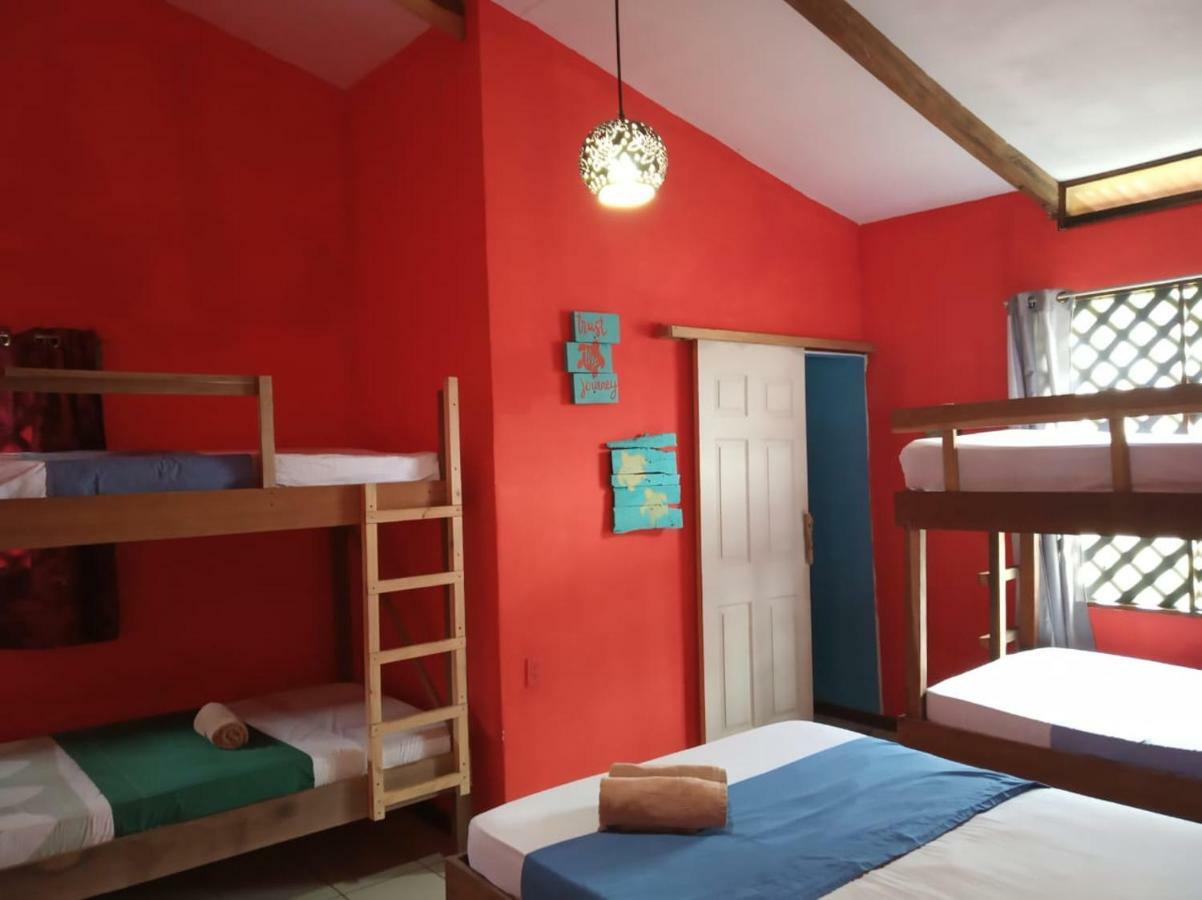 Tortuguero Adventures Beach House Luaran gambar