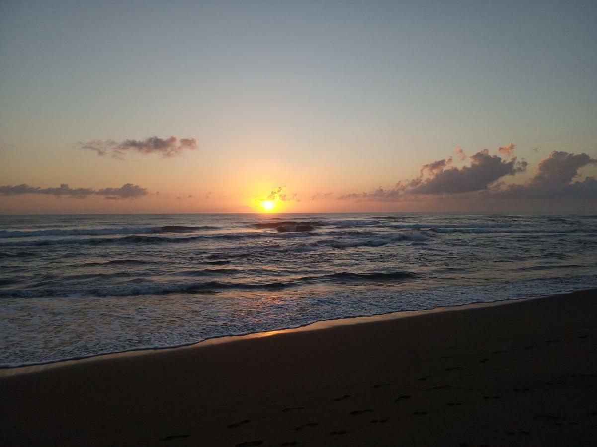 Tortuguero Adventures Beach House Luaran gambar