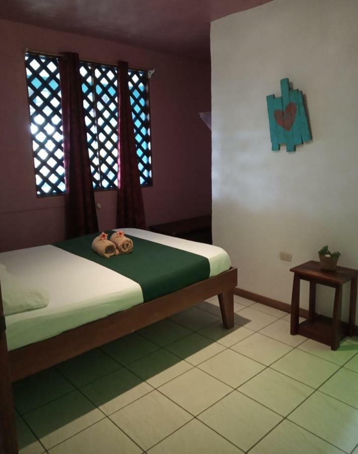 Tortuguero Adventures Beach House Luaran gambar