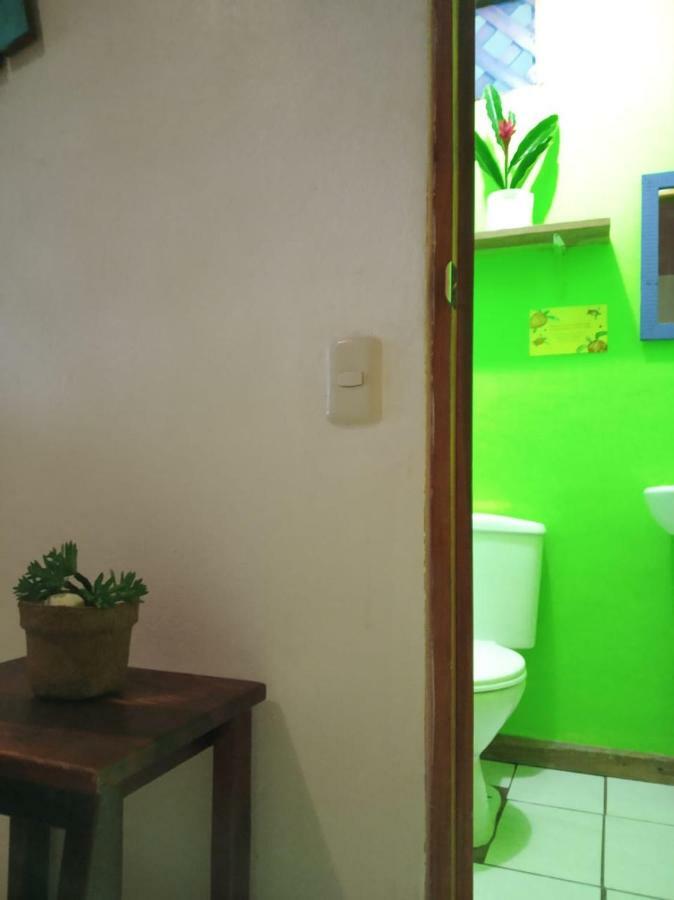 Tortuguero Adventures Beach House Luaran gambar