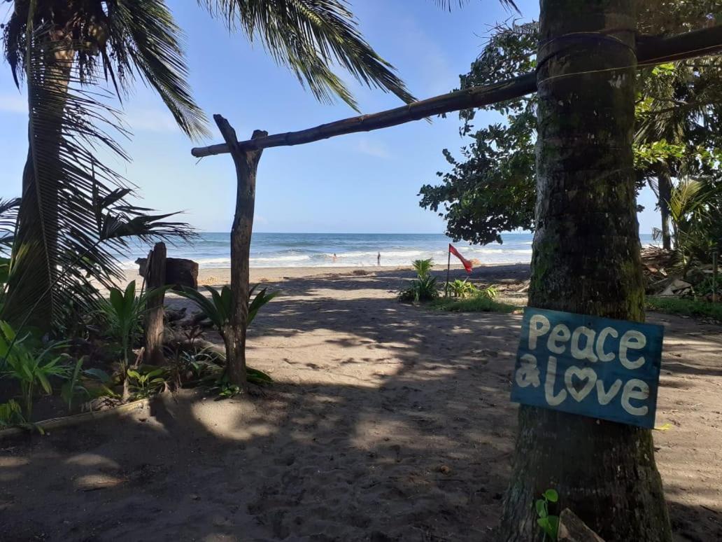 Tortuguero Adventures Beach House Luaran gambar